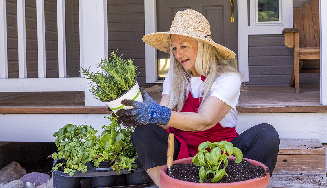 Herb Garden